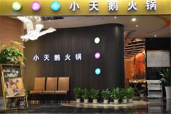 小天鹅火锅加盟多少钱？万元起步，赚钱看得见，吸金好项目