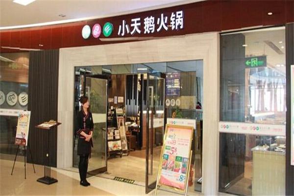 小天鹅火锅加盟怎么样？优势全，受消费者信赖，想不赚钱都难