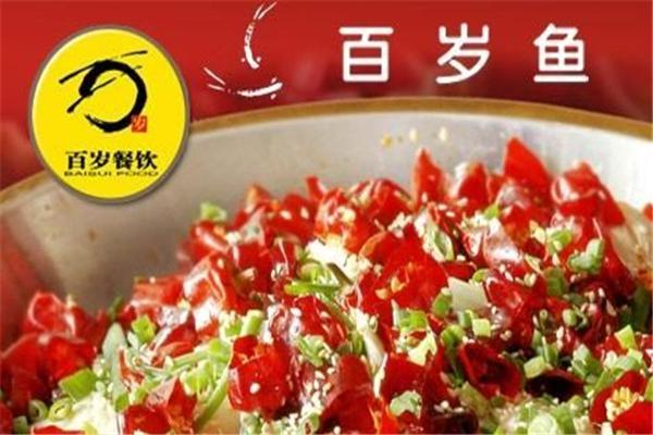 百岁鱼