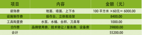 菜立方芽苗菜