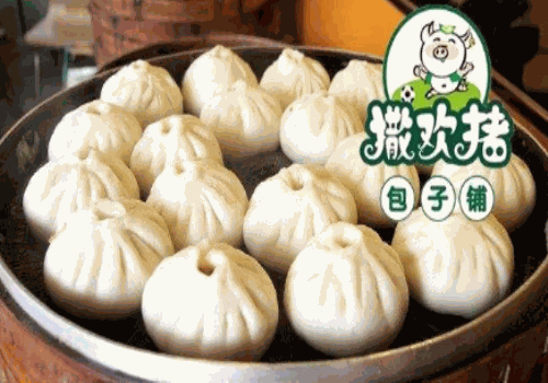 撒欢猪包子