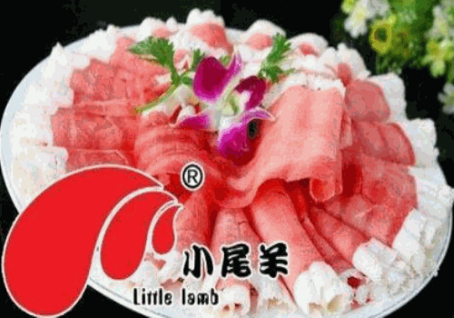 小尾羊火锅