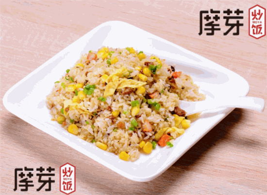 摩芽炒饭赚钱好项目
