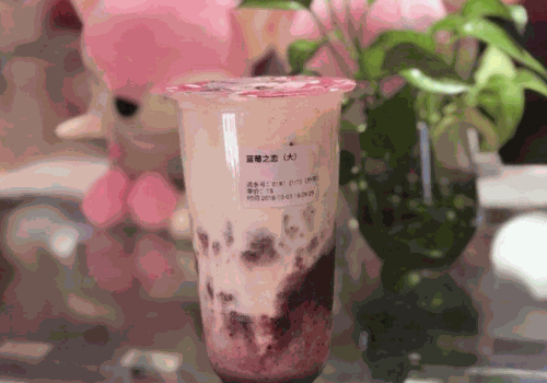 浆果食物恋