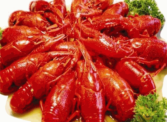 虾皇龙虾