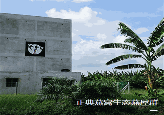 正典燕窝