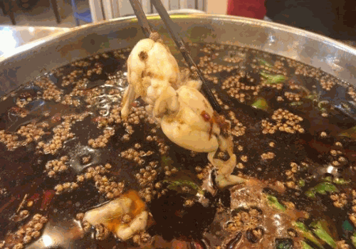 香即福渔府