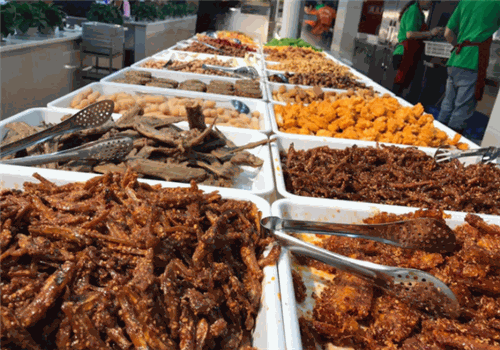 九尺鸭肠王自助火锅店总店加盟
