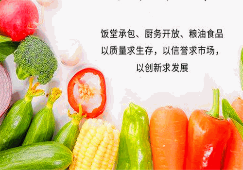 鲜丰净菜怎么样
