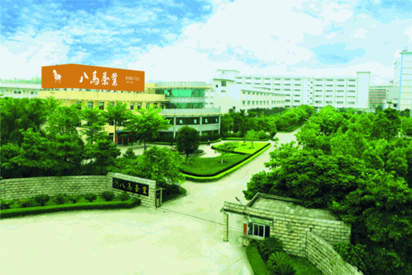 八马茶业加盟