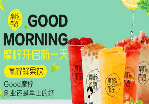 摩柠茶语加盟费多少钱?