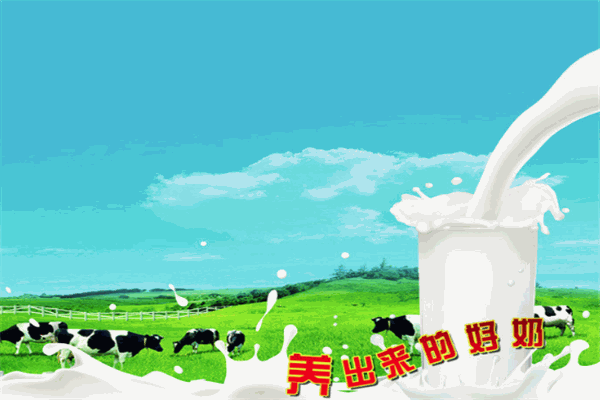 宜生鲜奶吧加盟