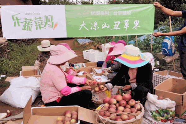 乐蔬菜妈加盟