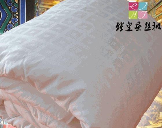 钱皇蚕丝被产品 门店图片