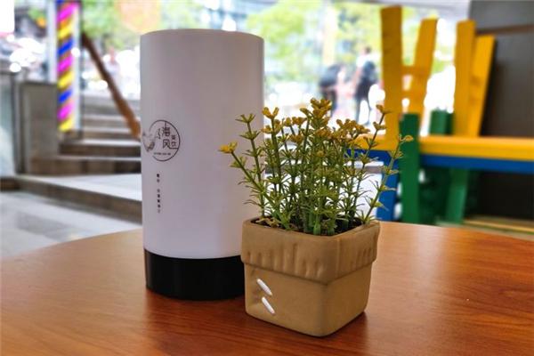 海风茶饮产品 门店图片
