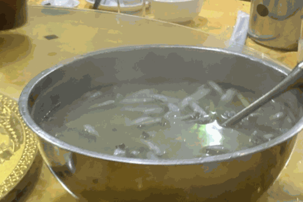 好味齐靓粥加盟