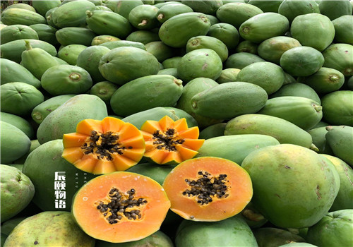 辰颐物语