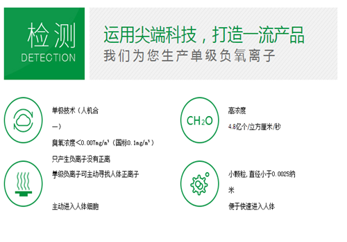 里维森负氧离子健康仪