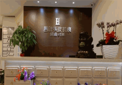 菩叶头皮抗衰