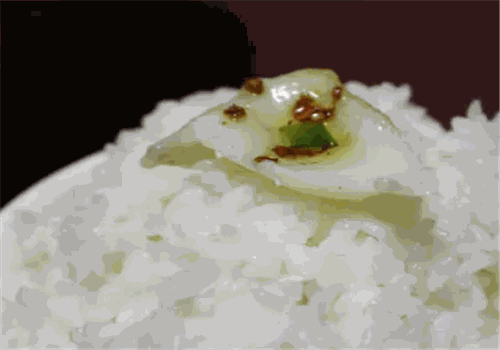 林记酸菜鱼