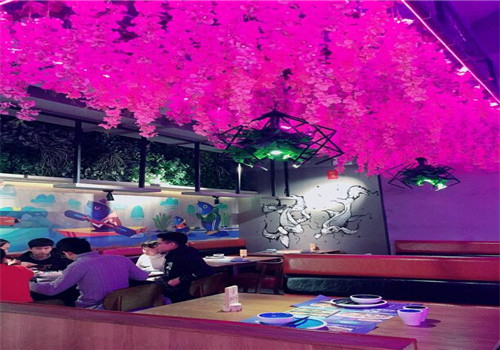 二师兄超级酸菜鱼
