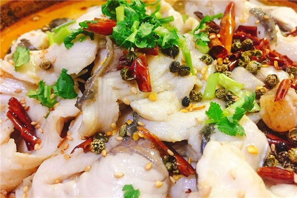 小马酸菜鱼