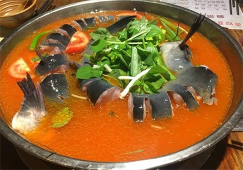 溜溜姐酸汤鱼