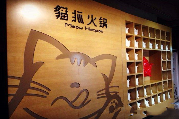 猫抓火锅
