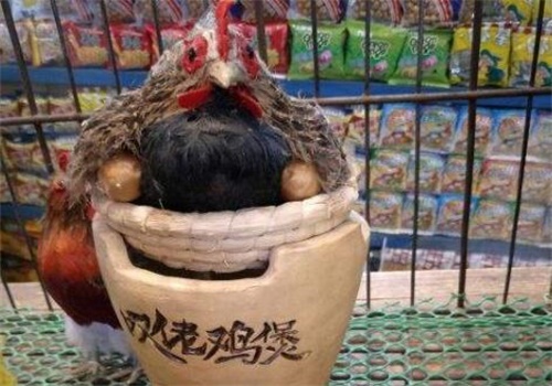 芳村榕树头叹佬鸡煲产品 门店图片