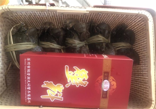蟹之都