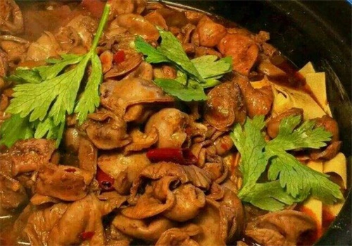 火胖子肥肠煲