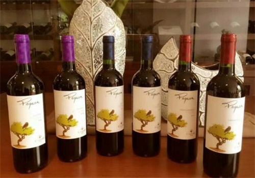 卡维纳酒窖