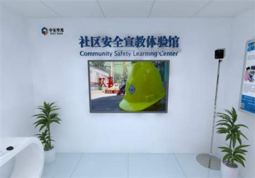中安华邦