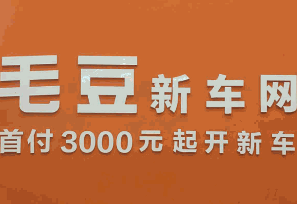 毛豆新车