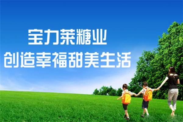 宝力莱婴童食品加盟