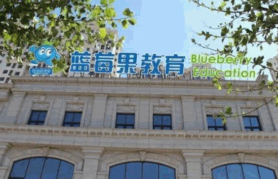 蓝莓果教育赚钱吗?费多少钱?