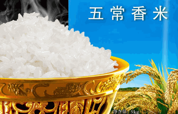 黑龙江五常大米哪个品牌好?店一般多少钱?