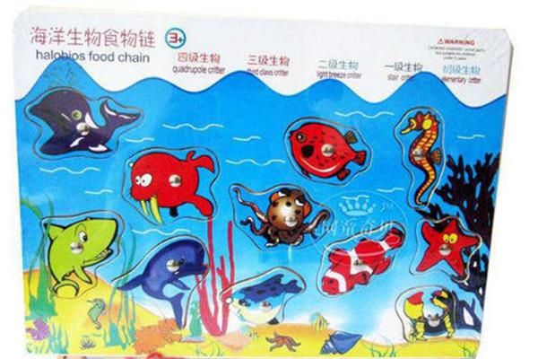 生物海洋启蒙教材玩具