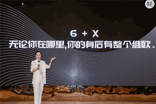 维欧国际教育