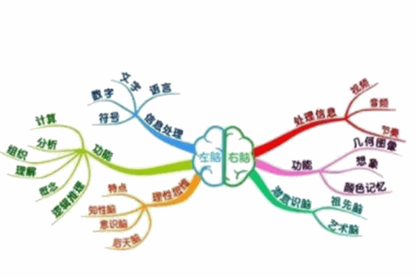 右脑潜能开发