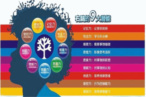 右脑潜能开发