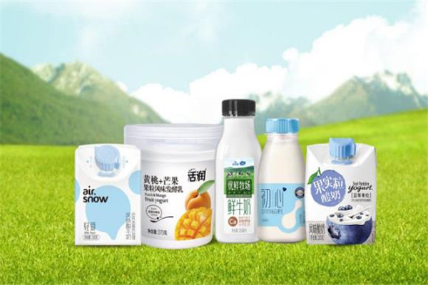 新天香乳业