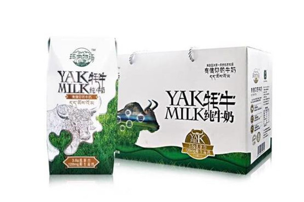 雪峰牦牛乳业