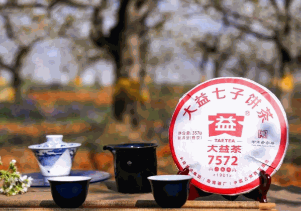 大益茶加盟
