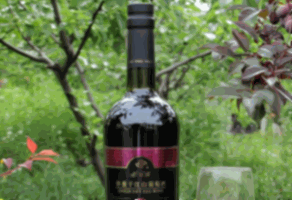 澳玛瑞葡萄酒
