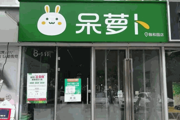 呆萝卜