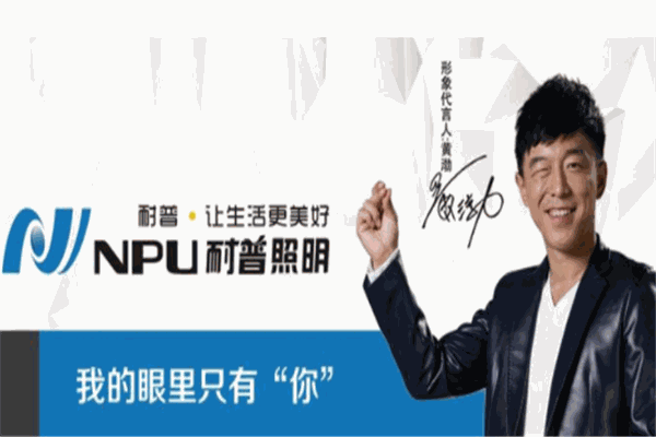 耐普照明