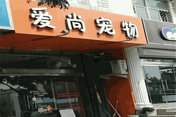 爱尚宠