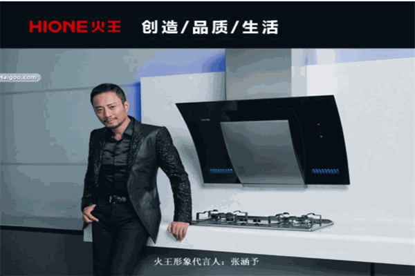 火王厨房电器