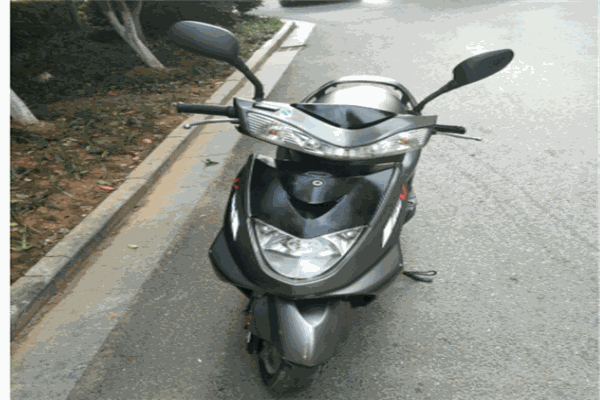 狮龙电动车